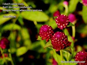 tom_hanks_quotes Quotes 3